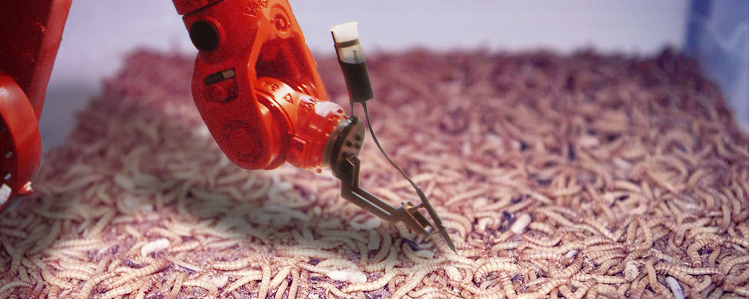 Cepri-Tech spricht über SMART. INSECT. FARMING.