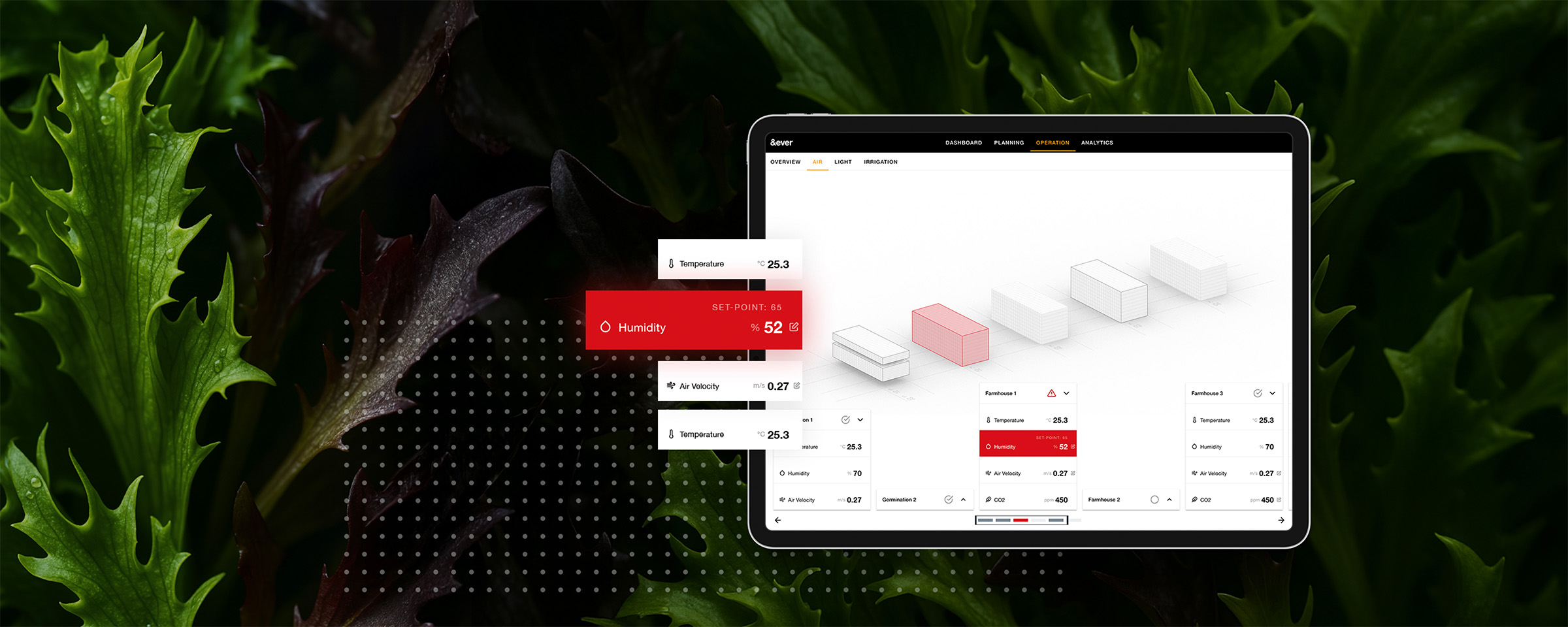 Ernte von Salat in einer Vertical Farm