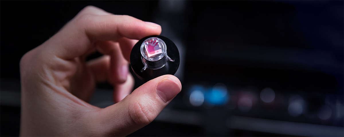 Das Intuity Logo gedruckt auf Zellen.