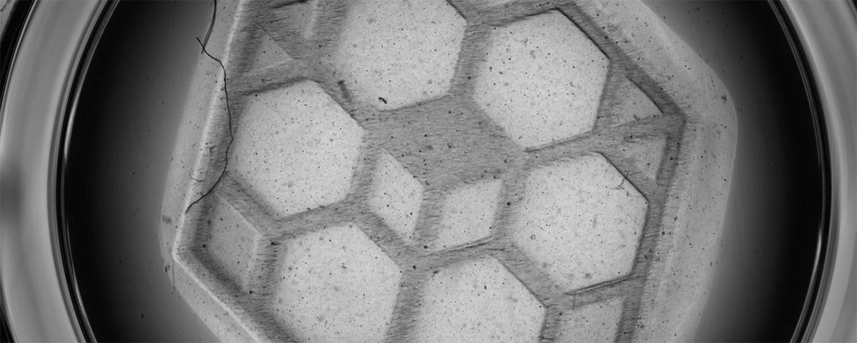 Cellbricks-Logo gedruckt mit zellhaltiger Bioink